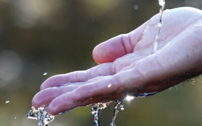 Justificació tècnica i legal que motiva la nova estructura de preus de l’aigua