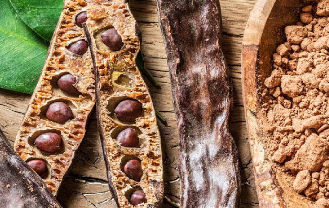 Concurso de dulces con algarroba en el marco de Feslalí. El Febrer és Alcalalí»