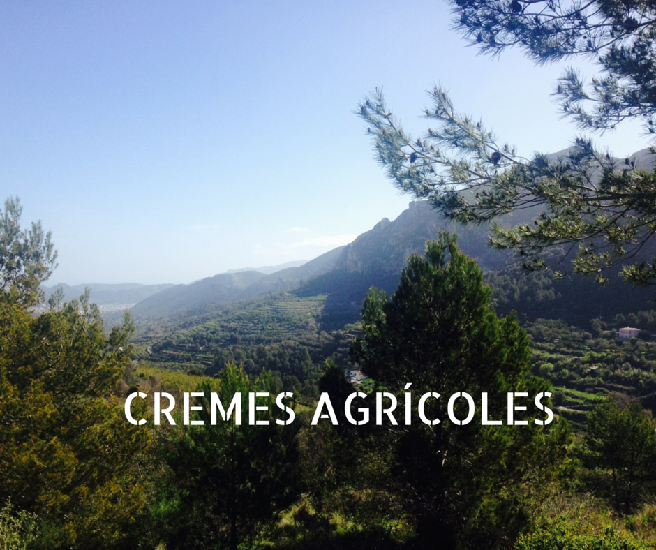 QUEMA DE RESIDUOS VEGETALES AGRÍCOLAS