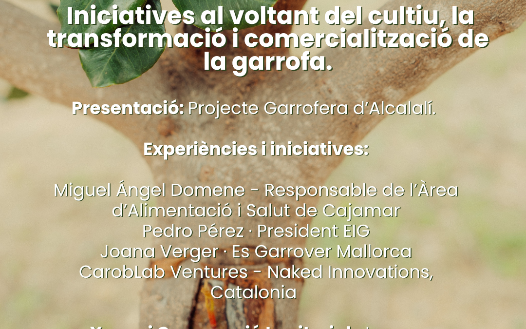 Alcalalí acull una taula rodona sobre el futur de la garrofa i les oportunitats del sector
